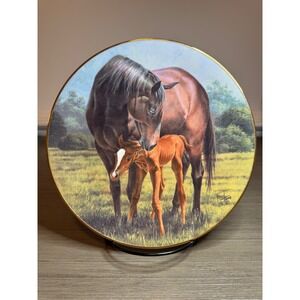 Vintage Fred Stone 1989 "The 1st Day" Limited Edition Fine Art Plate